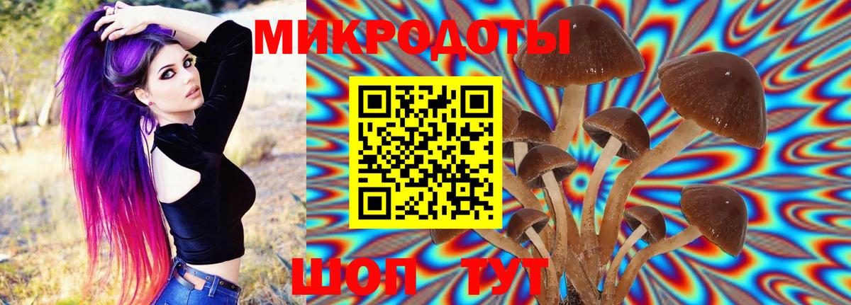 Дальнереченск  Галлюциногенные грибы прущие грибы  Вход с VPN  Галлюциногенные грибы Cubensis 
